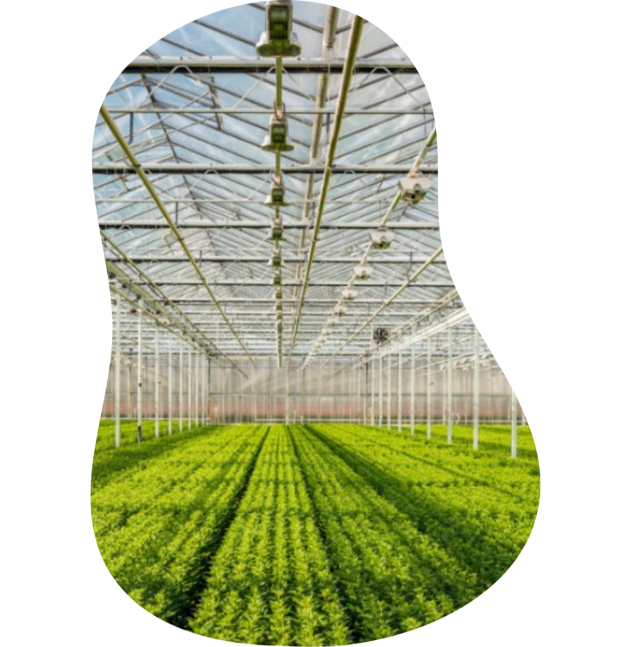 Agriculture
